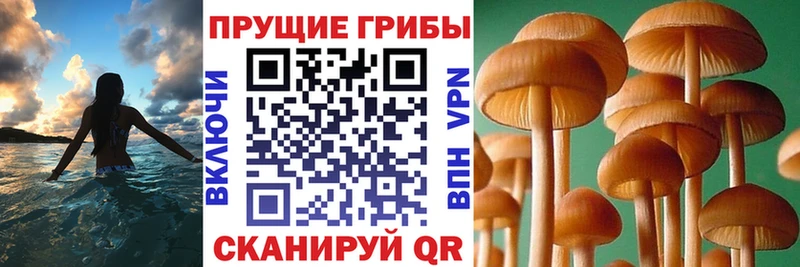 Псилоцибиновые грибы Magic Shrooms  Мостовской 